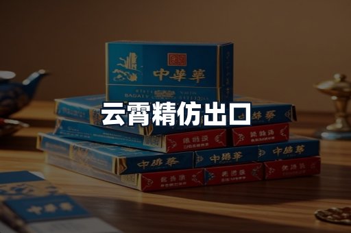 云霄精仿出口